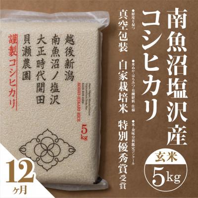 ふるさと納税 南魚沼市 【毎月定期便】南魚沼塩沢産コシヒカリ「貝瀬農園米」玄米5kg全12回