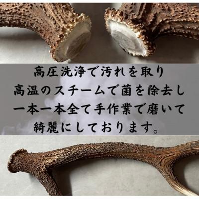 ふるさと納税 帯広市 鹿の角 枝先10cm前後200gセット 北海道産 アクセサリー クラフト材 |  | 01