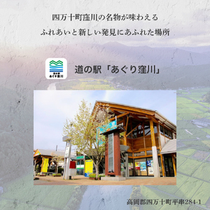 もっちもち皮にファン急増中！にら饅頭セット (計16個) ／Qak-A27 にらまんじゅう まんじゅう 国産 人気 おすすめ 冷凍 特産品 お取り寄せ