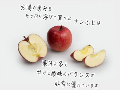りんご サンふじ ヒバリノ園 青森県産 りんご【約5kg(14～18玉)】