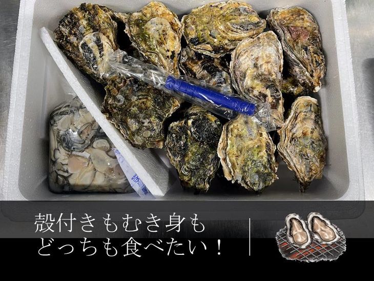 石川県七尾産　能登かき むき身 殻付き セット（むき身400g・殻付約20個） 加熱調理用 ※離島への配送不可 ※2025年1月より順次発送