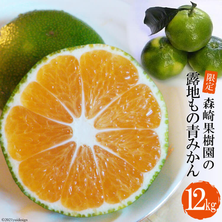【ふるさと納税】CD001 限定！森崎果樹園の露地もの青みかん（12kg）[みかん ミカン オレンジ 果物 くだもの フルーツ 酸味 露地もの 青もの 長崎県 島原市]