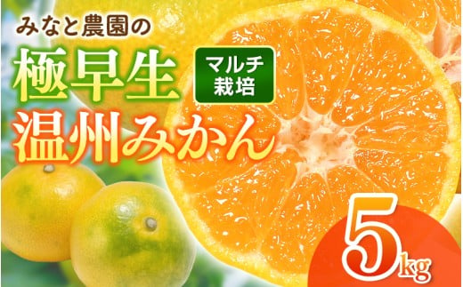 【数量限定】みなと農園の極早生温州みかん  約5kg 2S～Lサイズ混合 マルチ栽培 【2026年10月上旬頃〜順次発送】 みかん ミカン 蜜柑 温州みかん 温州ミカン 柑橘 フルーツ 果物 くだもの 極早生 甘い 旬 人気 産地直送 三重県 熊野市【mntf0003】