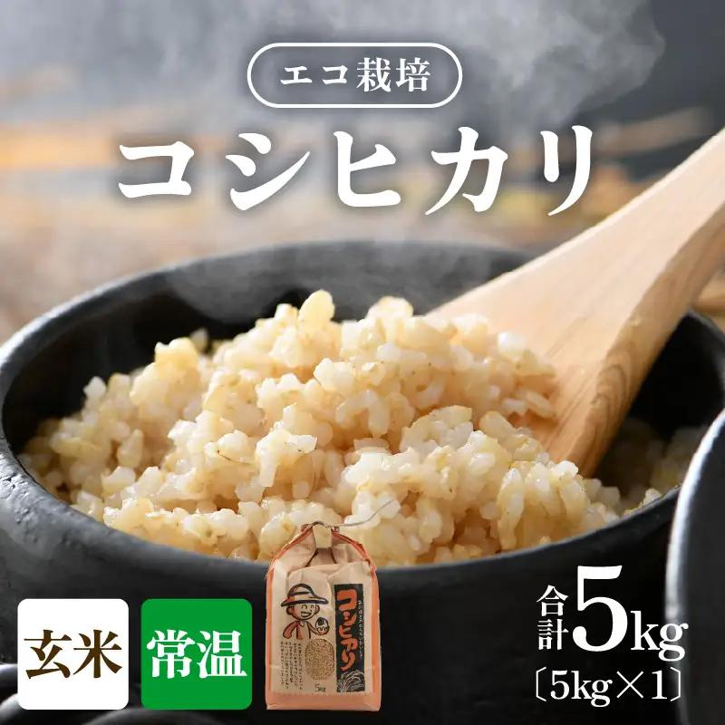 【先行予約】【令和8年産 新米】エコ栽培コシヒカリ　玄米5kg ／ 鮮度抜群 福井県産 こしひかり ご飯 新鮮 玄米 ※2026年10月上旬以降順次発送 [aw063-a021]