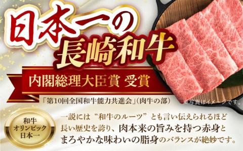 【全6回】【内閣総理大臣賞受賞！】長崎和牛 毎月お届けセット1kg×6回 [YA20]  肉 牛肉 ロース サーロイン ステーキ レモンステーキ 定期便