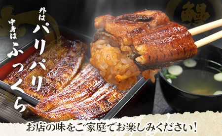 【6回定期便】うなぎ蒲焼き120g 1尾(無頭) 【 うなぎ 定期便 国産 うなぎ 定期便 かばやき うなぎ 定期便 】 Wun-0021
