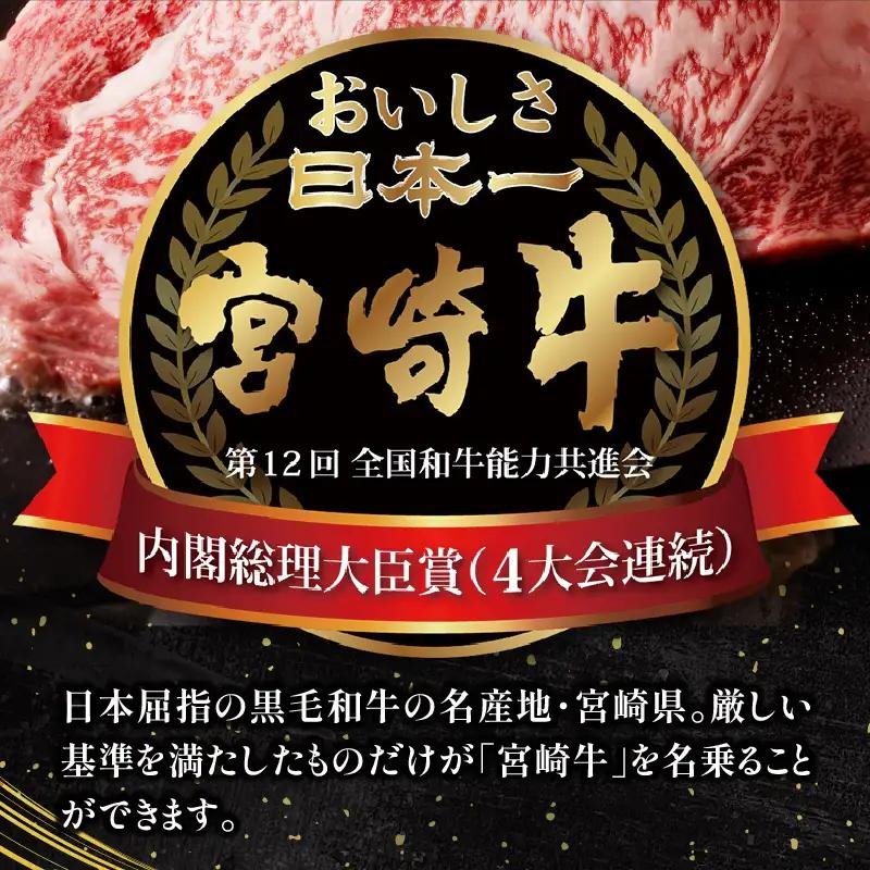 牛肉 ステーキ 牛肉[宮崎牛 ミスジ 300g]