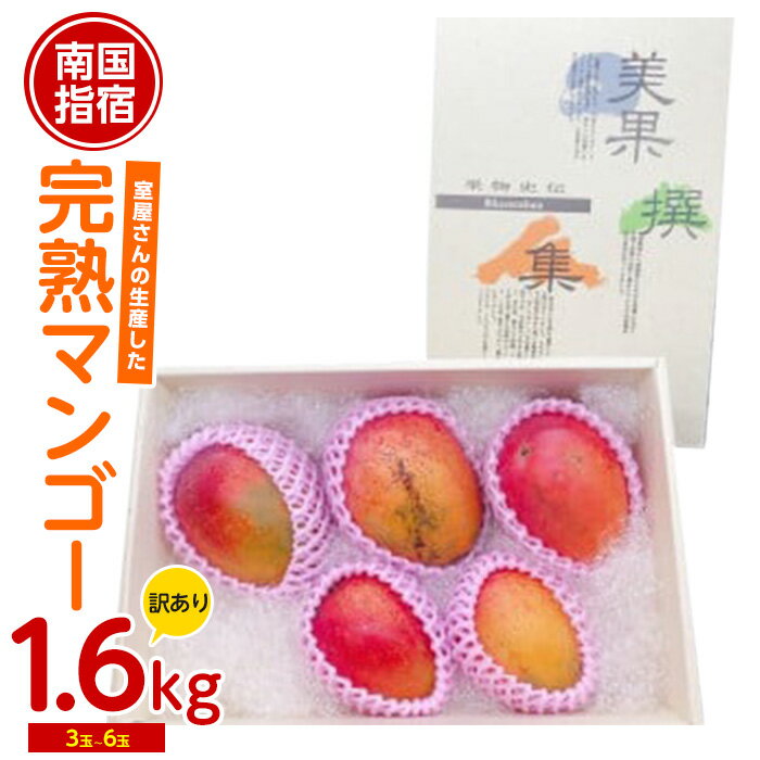 【ふるさと納税】＜期間限定＞＜訳あり・傷などのため規格外品＞室屋さんの完熟指宿産マンゴー(3玉〜6玉入・約1.6kg) 訳アリ マンゴー フルーツ 果物 デザート スイーツ 家庭用 自宅用 スムージー ヨーグルト【中園久太郎商店】