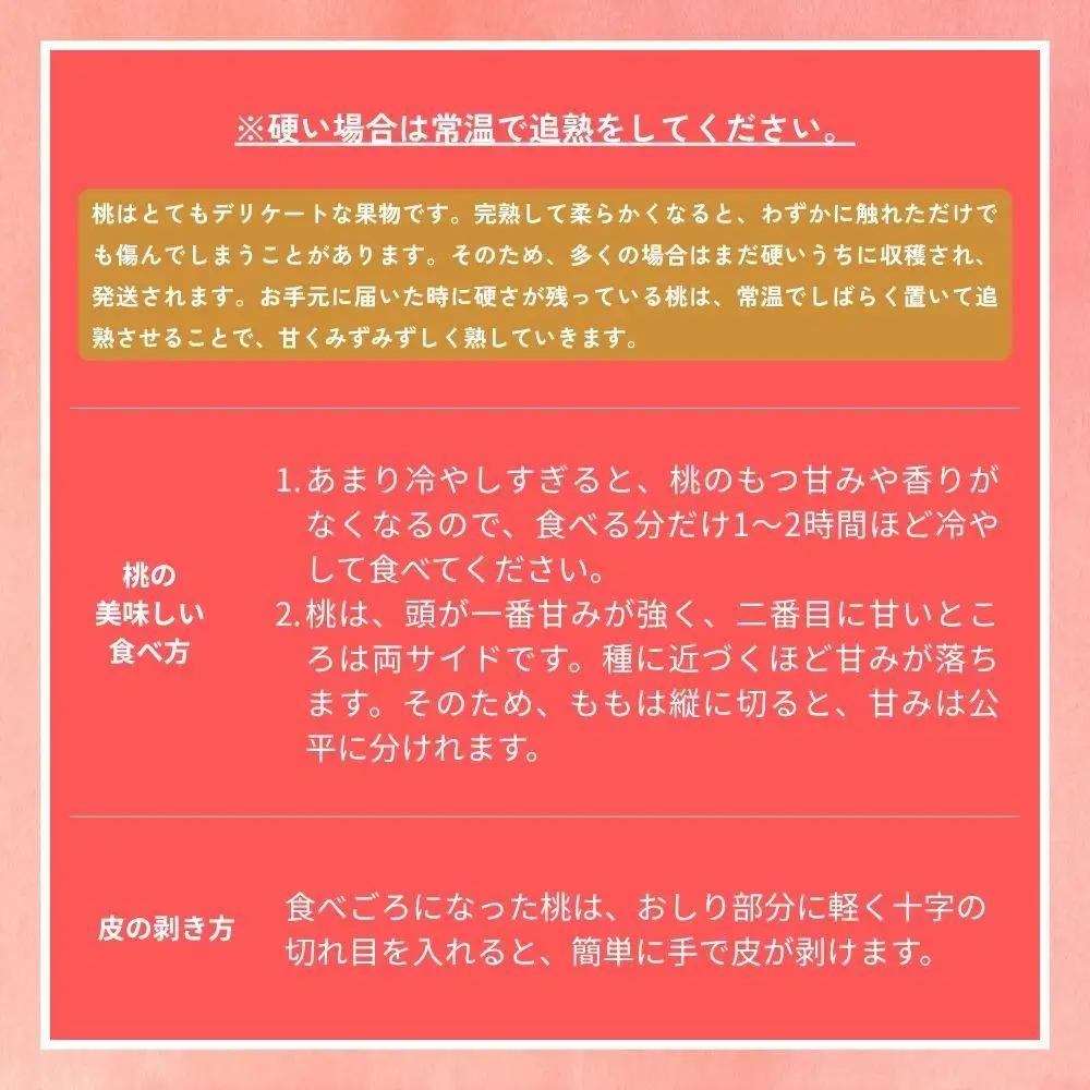 【2026年先行予約】［なんばふぁーむ］岡山県産 黄金桃 1.5kg（4～6玉）[ギフト用]