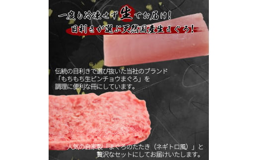 那智勝浦直送！天然もちもち生ビン長まぐろとたたきセット　2人前 / マグロ 鮪 ビンチョウ びんちょう 魚 海鮮 海鮮丼【uot804A】