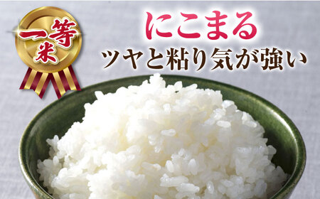 山鹿市産のお米食べ比べセット（ひのひかり・にこまる・森のくまさん）各4kg 【水辺プラザかもと】[ZEG014]