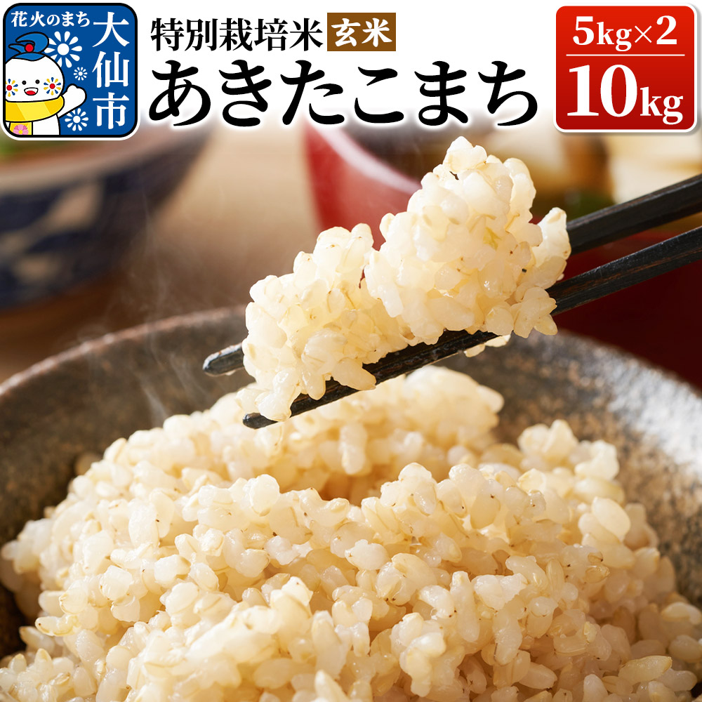 米 令和7年産【特別栽培米】あきたこまち【玄米】10kg（5kg×2） [米 お米 こめ 玄米 特別栽培米 あきたこまち ブランド米 秋田県産]