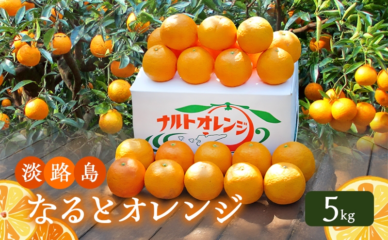
                  幻の果物 なるとオレンジ 5kg 淡路島 柑橘類 旬のフルーツ 旬の果物 オレンジ 鳴門オレンジ 季節のフルーツ 季節の果物 幻 洲本市　お届け：4月上旬～6月下旬まで [№5395-0070]
                