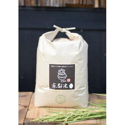 ふるさと納税 綾部市 〜栽培期間中 稲穂に農薬不使用〜京都のお米  令和7年産コシヒカリ5kg【玄米】