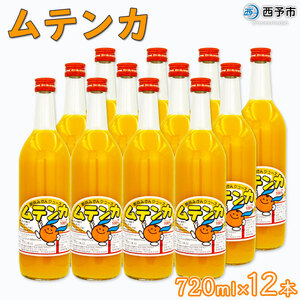 ムテンカ720ml×12本セット