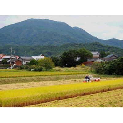 ふるさと納税 伊万里市 令和7年 伊万里産 鶴田農園の「さがびより」10kg |  | 03