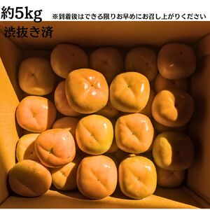 ひらたね柿 たねなし柿 種無し柿 平たね柿 柿 奈良県産5kg カキ 甘い