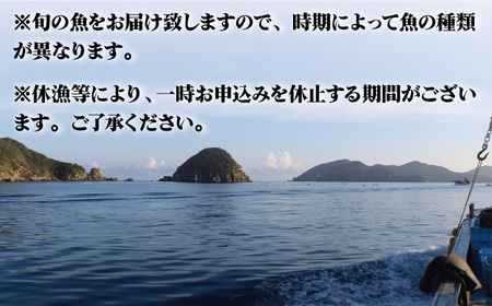 【朝どれピチピチの鮮魚をお届け！】旬の鮮魚 詰め合わせ セット 3〜5種類【松園水産】[RBO011]