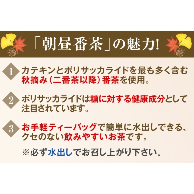 宇治・水出し朝昼番茶ティーバッグ 10ｇ×20袋入×6本　クールサーバー付　〈お茶 茶 煎茶 緑茶 番茶 秋摘み カテキン 水出し ティーバッグ ティーパック クールサーバー 飲料 健康 加工食品〉_