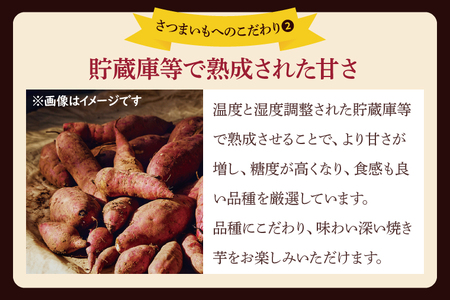 冷凍焼きいも 紅はるか 1kg 500g×2パック 焼き芋 やきいも 冷やし焼き芋 さつまいも サツマイモ 茨城県産 べにはるか 茨城県大洗町 大洗町 スイーツ_DP001