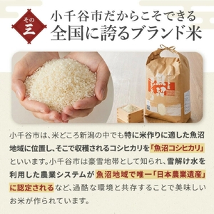 特別栽培 玄米 棚田で育てた魚沼産コシヒカリ 5kg 令和7年 | 新潟県 玄米