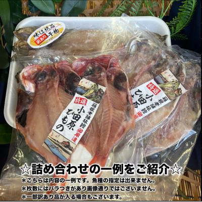 ふるさと納税 小田原市 【2ヵ月毎定期便】厳選!おまかせ干物セット【梅】小田原の美味しい干物!【神奈川県小田原市早川】全4回 |  | 02