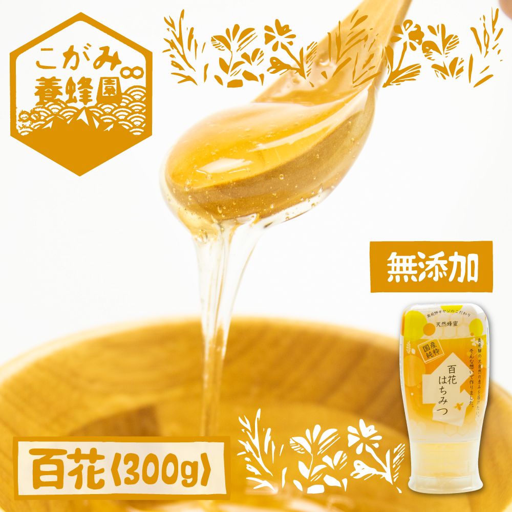 【ふるさと納税】＜8月から寄附額改定＞飛騨産 生蜂蜜 百花蜜 300g 国産無添加 百花 はちみつ ギフト ハニー非加熱[Q1195wx]《hida0307》