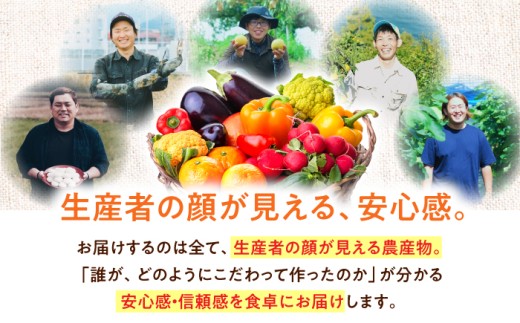 毎回ちがう旬の農産物定期便
