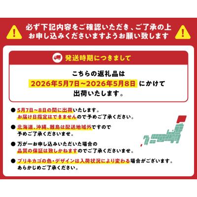 ふるさと納税 八代市 【先行予約】【2026年5月7日〜8日発送】ポットカーネーション ピンク5号鉢_145-5204-B |  | 03