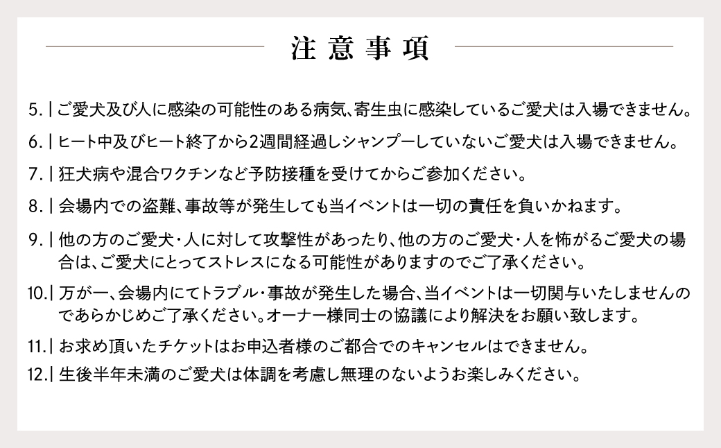 【九十九里ビーチドッグフェスティバル2025】3頭・1名様 ご招待チケット　ふるさと納税 チケット イベント ドッグフェス 愛犬 ワンちゃん beach dog fes ビーチ 砂浜 海岸 九十九里 