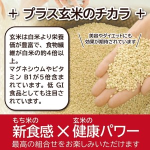SC0282　【3回定期便】もち米 玄米おにぎり プレーン15個×3回(計45個)