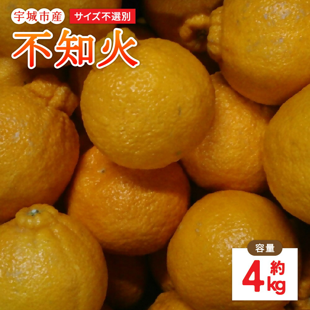 【ふるさと納税】【先行予約】 不知火 約4kg サイズ不選別 【2026年1月下旬〜2月下旬発送予定】デコポンと同品種 しらぬい 柑橘 九州 熊本県 宇城市 株式会社GGYパッケージ