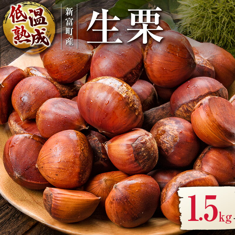 【ふるさと納税】＜期間限定＞国産 低温熟成栗（生栗）1.5kg 熟成宝珠栗 産地直送 宮崎県新富町産