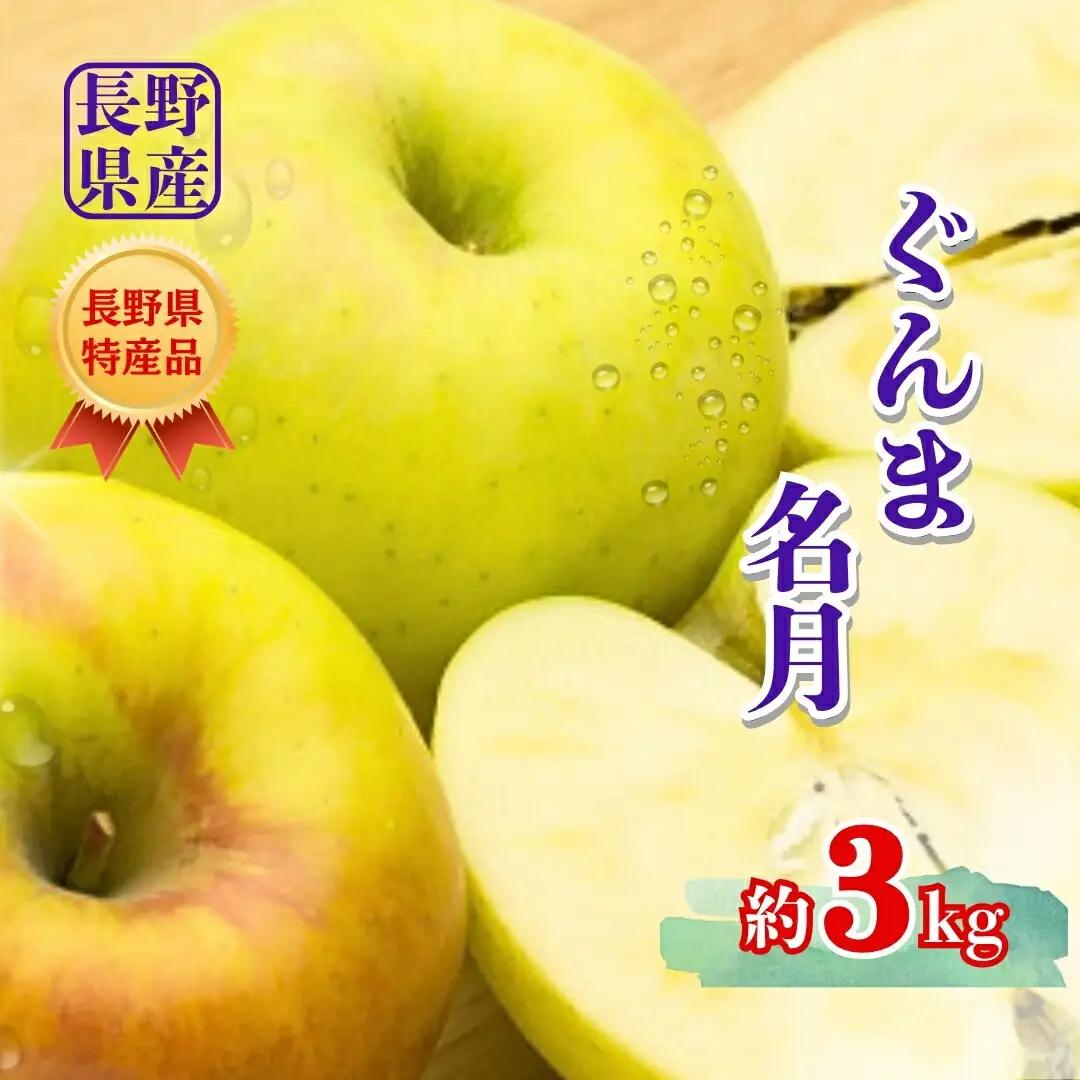 【2026年先行予約】ぐんま名月 約3kg |りんご