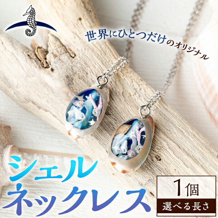 【ふるさと納税】＜選べる＞海アクセサリー シェルネックレス (1個) アクセサリー ネックレス ハンドメイド 手作り 首飾り ギフト プレゼント 贈り物 貝殻 1点もの オリジナル 数量限定【タツノオトシゴ】