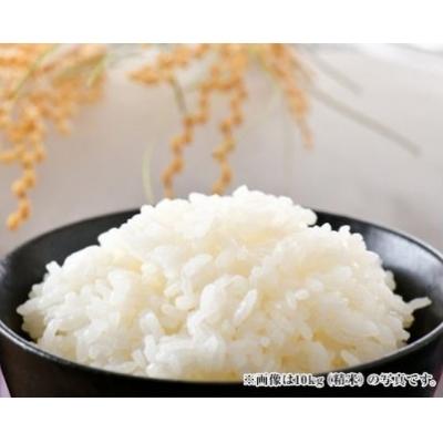 ふるさと納税 宝達志水町 米 コシヒカリ 「弘宝米」 玄米 30kg [中西農場 石川県 宝達志水町 38601281] |  | 03