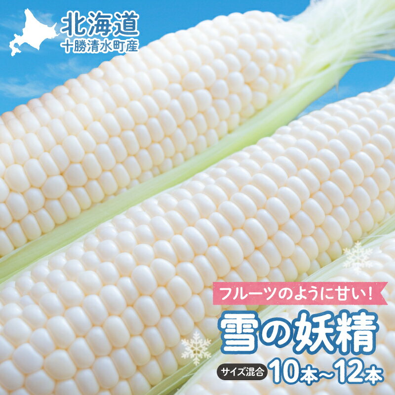 【ふるさと納税】【2025年8月～発送開始！】数量限定！北海道十勝清水町産 希少品種！ 白いとうもろこし 雪の妖精 サイズ混合 10～12本 ホワイト 北海道産 2025年 とうきび 産直 産地直送 希少品種 幻のとうもろこし ぷちっとはじける食感 北海道 清水町 送料無料