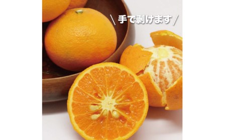 カラマンダリン 石本果樹園 カラ・マンダリン 約3kg 約20～25玉前後【min007B】