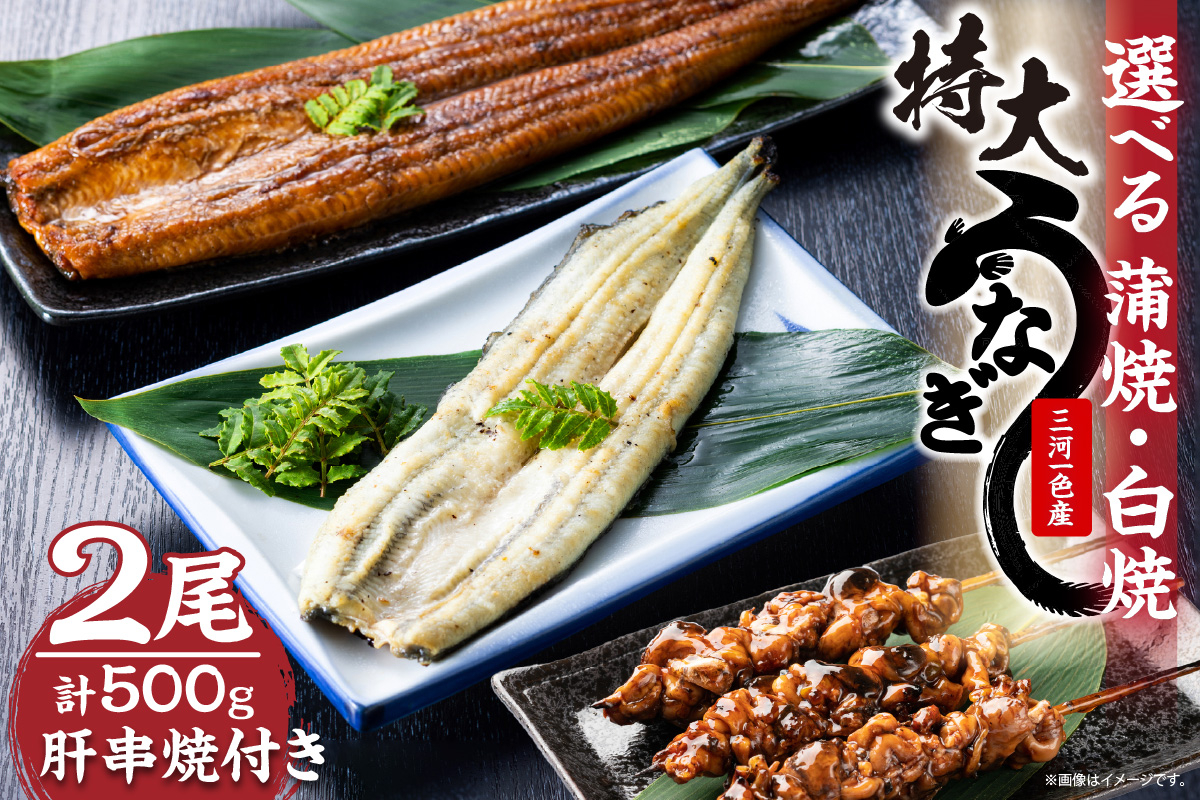 
三河一色産　最高級うなぎセット 特大2尾　計500g（冷蔵配送）（蒲焼・白焼組合せ自由）
