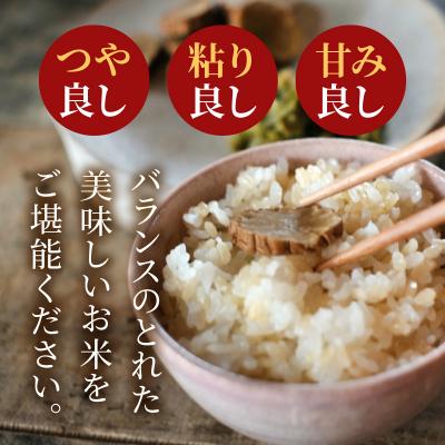ふるさと納税 天草市 【令和7年産】コシヒカリ 玄米 5kg_S050-008A |  | 01