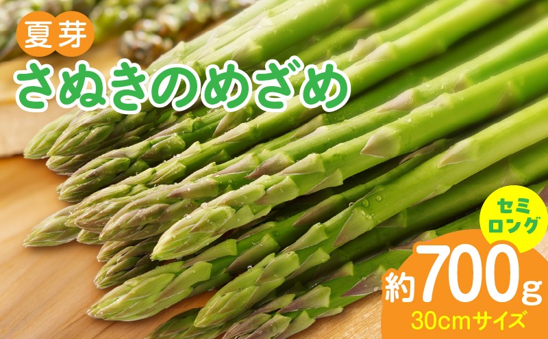 
                  【先行受付】香川オリジナルアスパラガス「さぬきのめざめ」(セミロング)夏芽 約700g | 野菜 アスパラ アスパラガス さぬきのめざめ 料理 柔らかい 夏 冷蔵 新鮮 香川県 三木町 セミロング おすすめ |_mk006-028
                