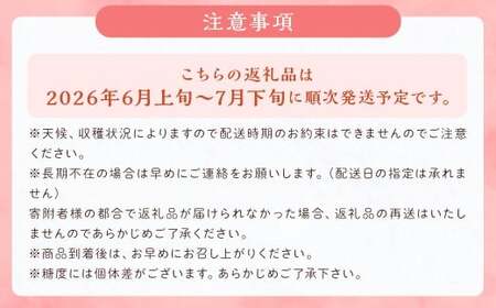  桃 8玉～9玉 福岡県産 産地直送 フルーツ 果物 もも ピーチ 果物 フルーツ お取り寄せ 【2026年6月上旬～7月下旬発送】