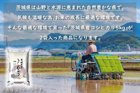 令和5年産  茨城 コシヒカリ 10kg (5㎏×２袋) 米 お米 おこめ 白米 ライス ご飯 精米 こしひかり 国産 茨城県産_CU001