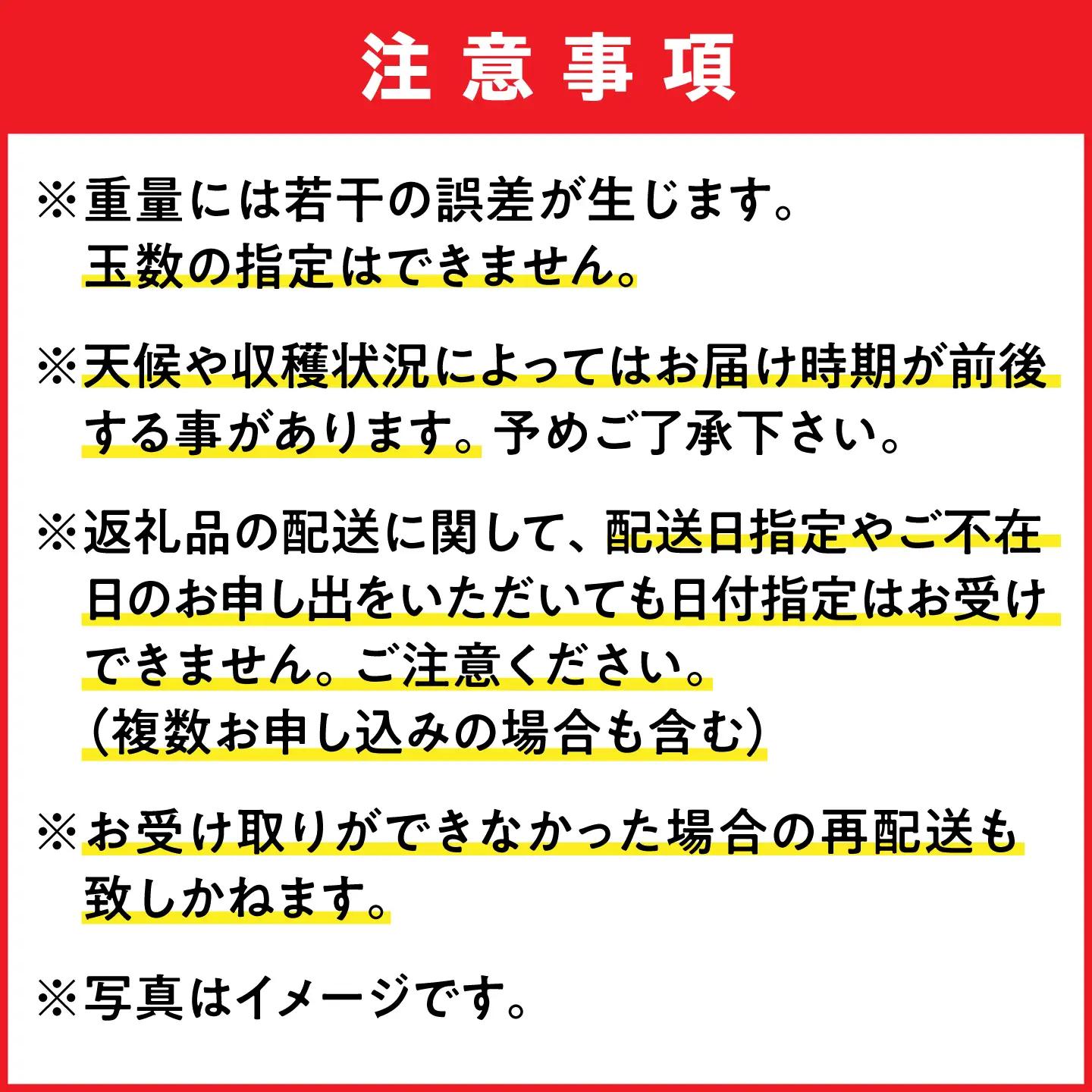 【2027年発送】完熟マンゴー 大玉 1個入り 沖縄 BCAN005