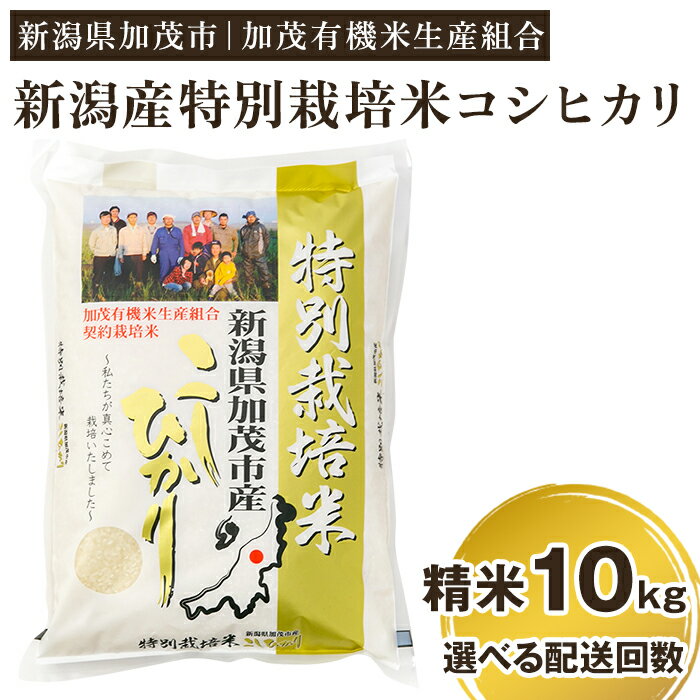 【ふるさと納税】【令和7年産新米先行予約】 新潟県加茂市産 特別栽培米コシヒカリ 精米10kg（5kg×2）選べる配送回数（通常配送1回〜定期便12回） 《10月中旬から順次出荷》 白米 従来品種コシヒカリ 加茂有機米生産組合