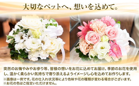 ★12ヶ月定期便★ 花 椿原園 ペット用 お供え アレンジメント 1個 フラワーアレンジメント 《出荷時期をお選びください》 熊本県 荒尾市 生花 お供え 花 お供え用 犬用 猫用 犬 猫 ペット