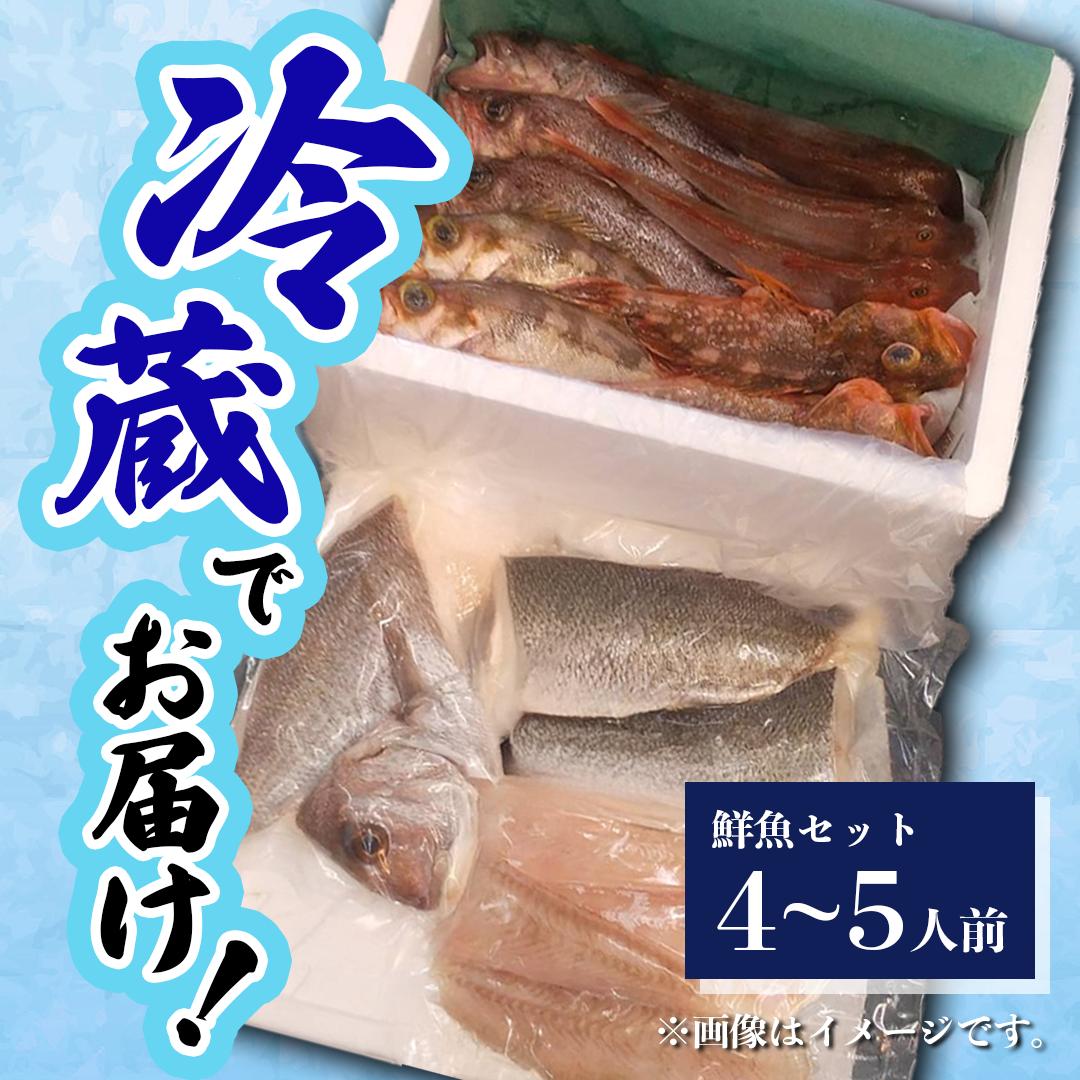 鮮魚 冷蔵 クール便「 開けたらすぐ食べられる下処理済み 海産物 4～5人前 セット 」佐藤鮮魚店【 パック 詰め合わせ 海鮮セット 鮮魚ボックス 海鮮 海の幸 魚介 魚介類 刺身 切り身  秋田県 