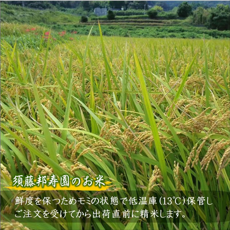 【令和7年産米】須藤邦寿園の白米 通算9回特A獲得米 にこまる5kg( 米 コメ お米 にこまる 5kg 5キロ 甘い 甘み 粘り 精米 国産 送料無料 )【B5-127】