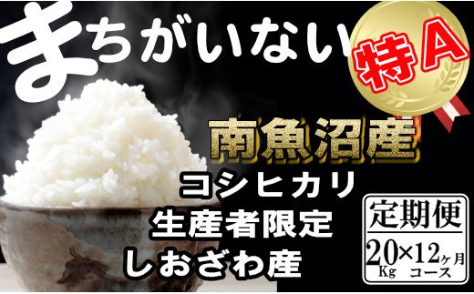 
                  【令和8年産　新米予約】【定期便】生産者限定 契約栽培　南魚沼しおざわ産コシヒカリ（20Kg×12ヶ月）【定期便 銘柄米 ブランド米 精米 こしひかり コシヒカリ 魚沼産 新潟米 産地直送 お米 米 】【2026年10月上旬より1ヶ月以内に順次発送予定】
                