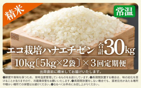 【先行予約】【令和8年産 新米】 定期便≪3ヶ月連続お届け≫エコ栽培ハナエチゼン 精米 10kg×3回（計30kg） ／ 鮮度抜群 福井県産 はなえちぜん ご飯 新鮮 白米 ※2026年9月上旬以降順